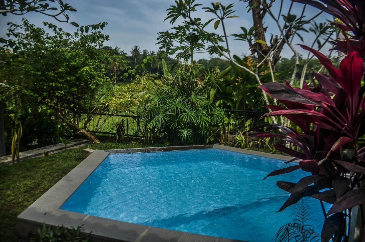 Villa Nextdoor Nature Yogyakarta Bantul Esterno foto
