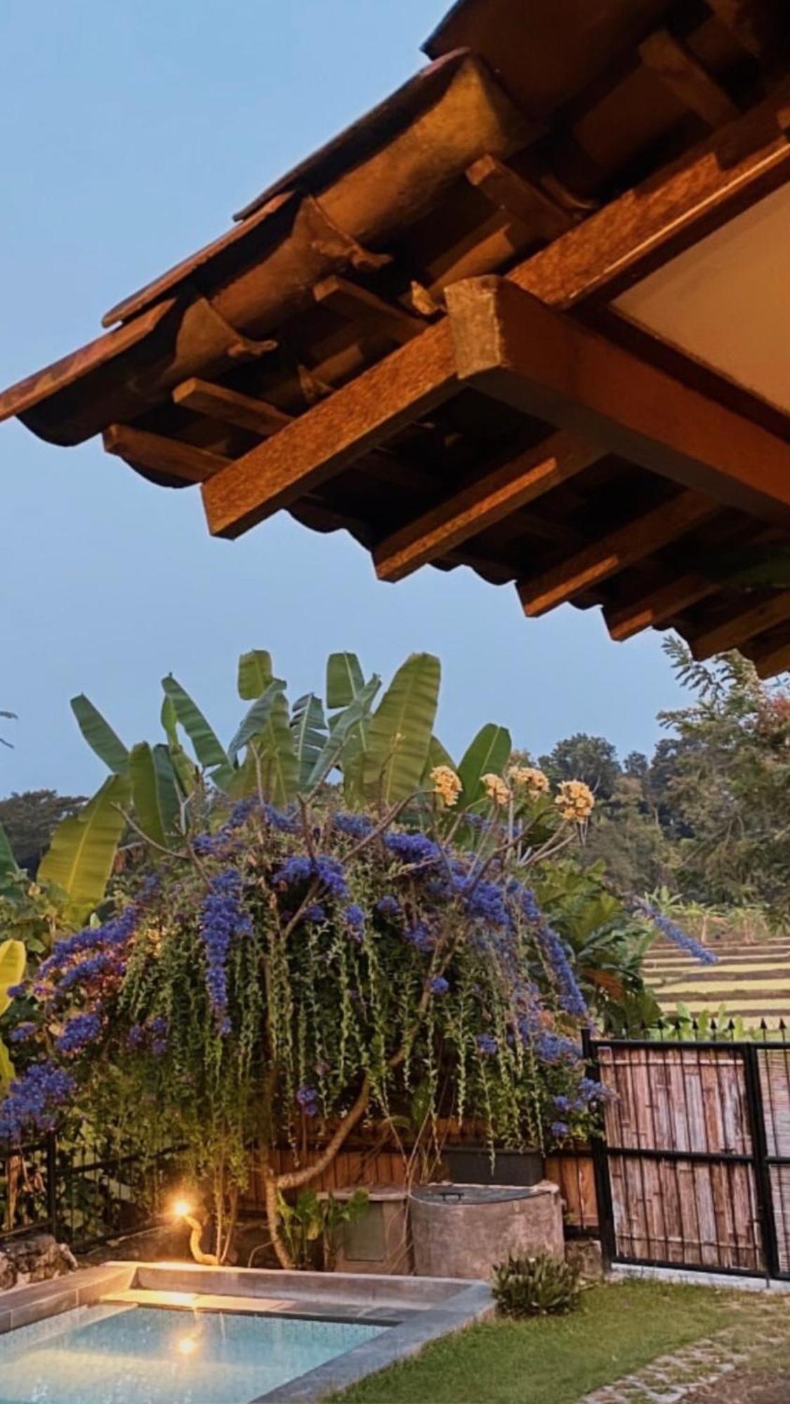 Villa Nextdoor Nature Yogyakarta Bantul Esterno foto