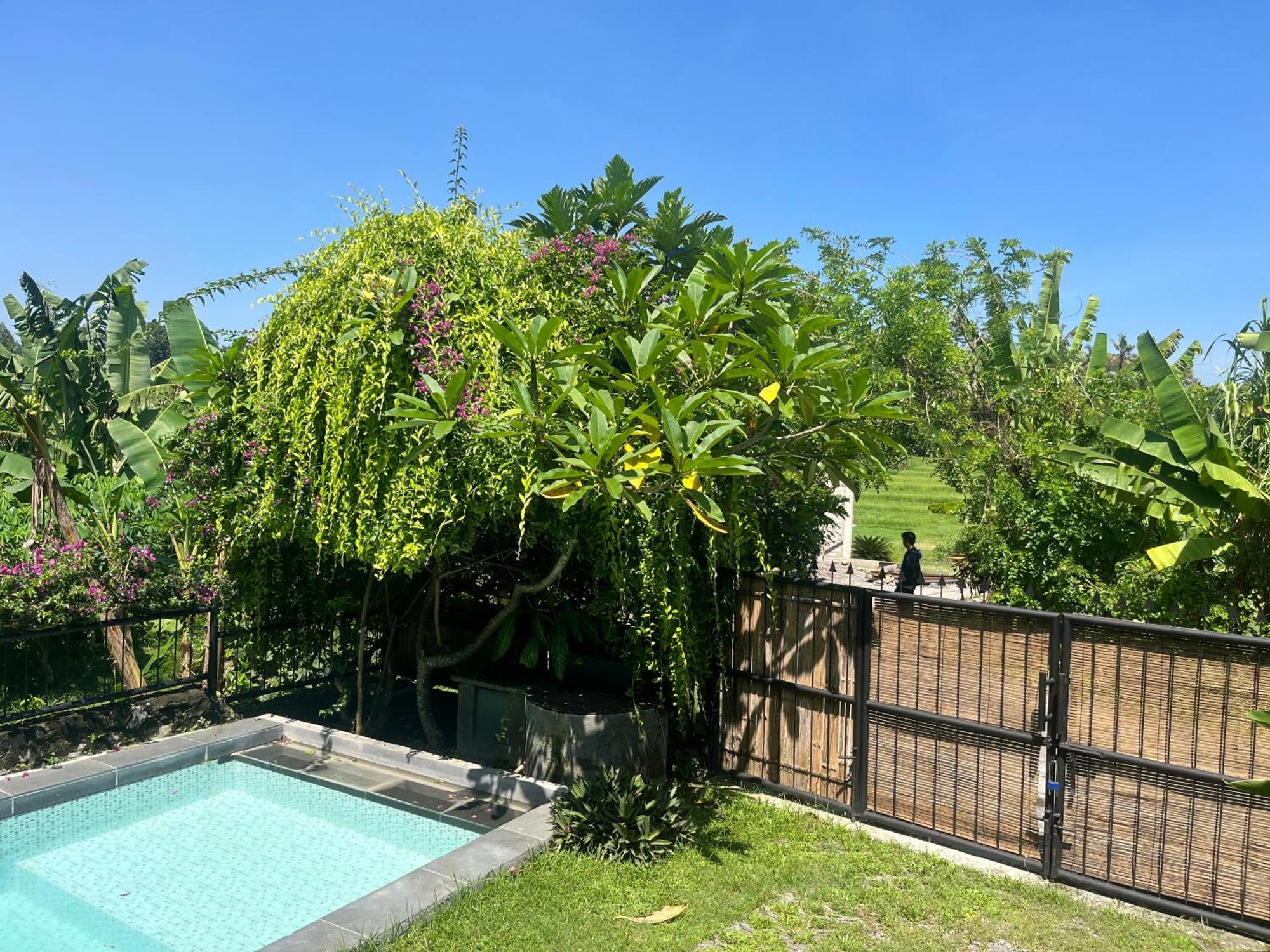 Villa Nextdoor Nature Yogyakarta Bantul Esterno foto